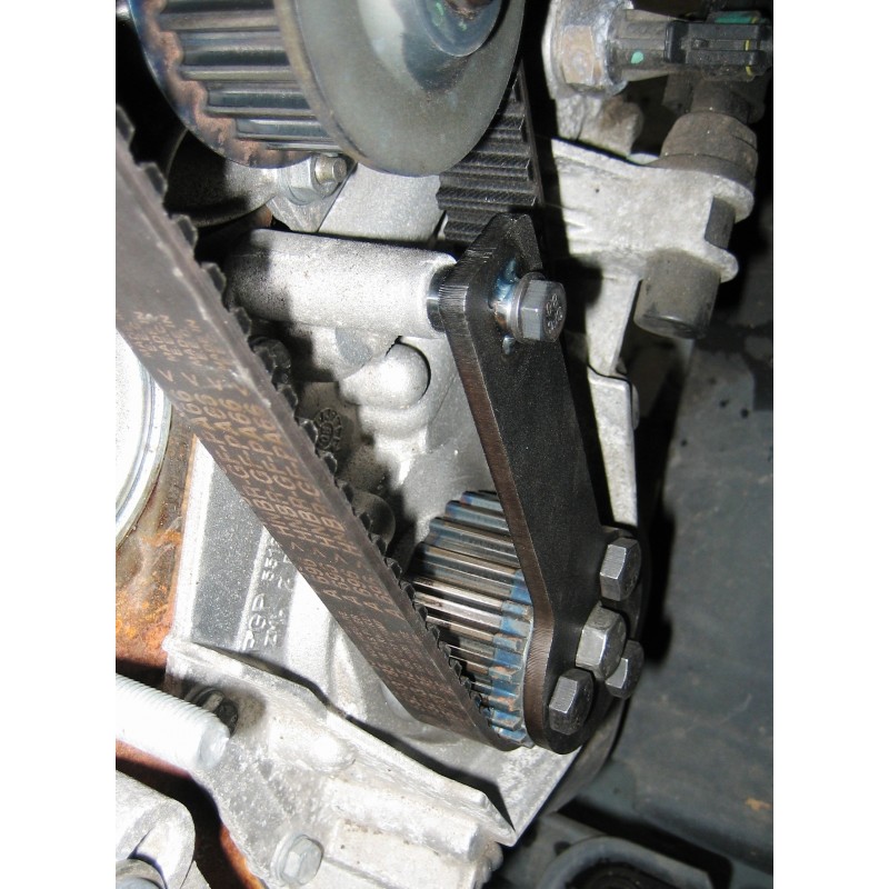 fiat punto cambelt